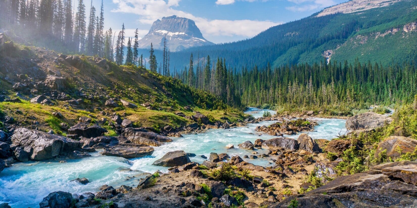 Rolling river with rocks in a lush valley of green trees and mountains on a sunny day